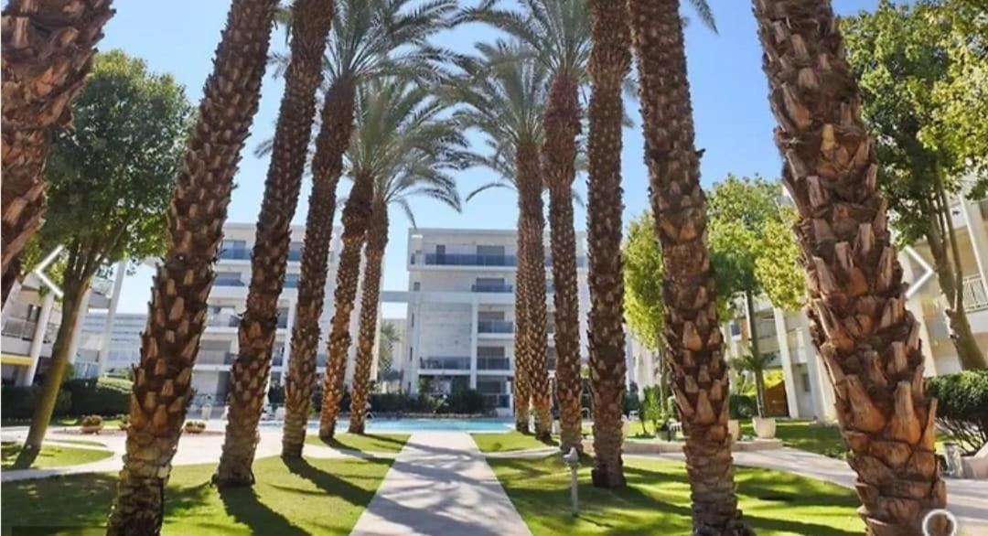 Luxury Queen Royal Park Ελάτ Εξωτερικό φωτογραφία